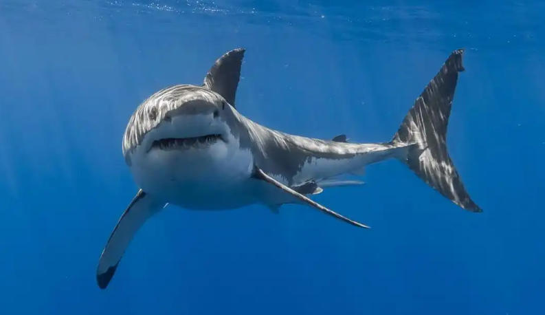 烟台合益利商贸有限公司轮播图3